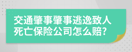 交通肇事肇事逃逸致人死亡保险公司怎么赔?