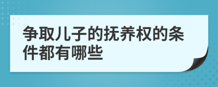 争取儿子的抚养权的条件都有哪些