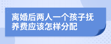 离婚后两人一个孩子抚养费应该怎样分配