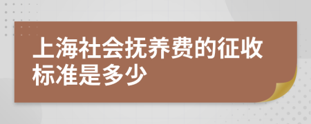 上海社会抚养费的征收标准是多少