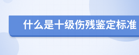 什么是十级伤残鉴定标准