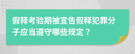 假释考验期被宣告假释犯罪分子应当遵守哪些规定？