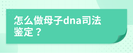 怎么做母子dna司法鉴定？