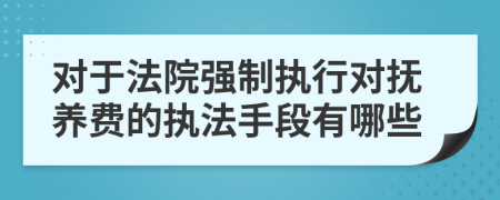 对于法院强制执行对抚养费的执法手段有哪些