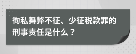 徇私舞弊不征、少征税款罪的刑事责任是什么？