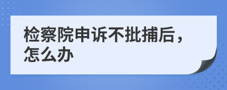 检察院申诉不批捕后，怎么办