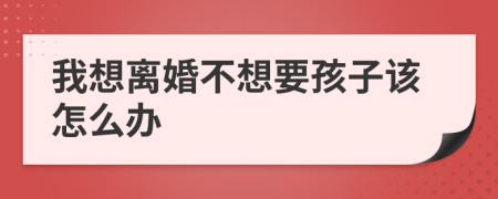 我想离婚不想要孩子该怎么办