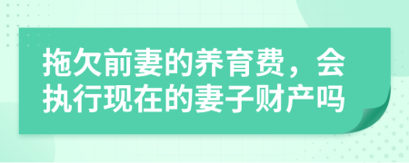 拖欠前妻的养育费，会执行现在的妻子财产吗