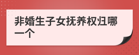 非婚生子女抚养权归哪一个