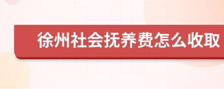 徐州社会抚养费怎么收取