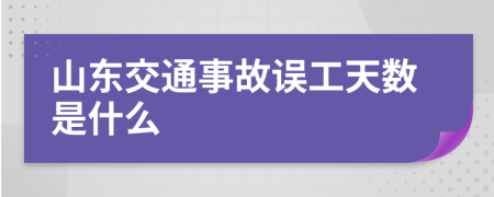 山东交通事故误工天数是什么
