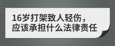 16岁打架致人轻伤，应该承担什么法律责任