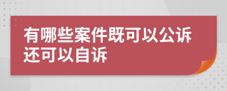 有哪些案件既可以公诉还可以自诉