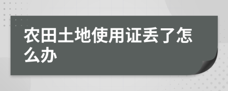 农田土地使用证丢了怎么办