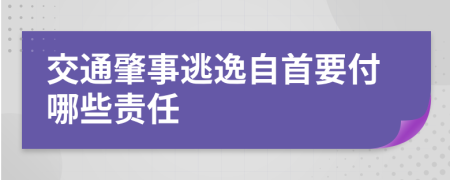 交通肇事逃逸自首要付哪些责任