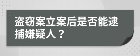 盗窃案立案后是否能逮捕嫌疑人？