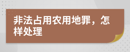 非法占用农用地罪，怎样处理