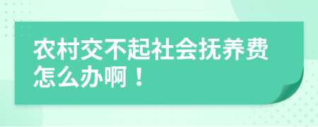 农村交不起社会抚养费怎么办啊！