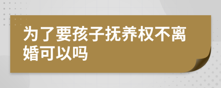 为了要孩子抚养权不离婚可以吗