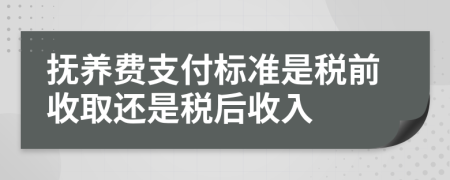 抚养费支付标准是税前收取还是税后收入