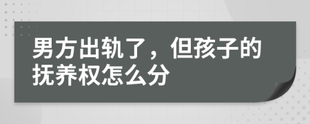 男方出轨了，但孩子的抚养权怎么分