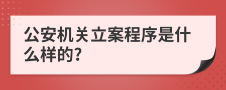 公安机关立案程序是什么样的?