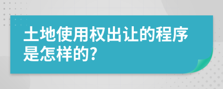 土地使用权出让的程序是怎样的?