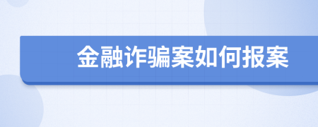 金融诈骗案如何报案