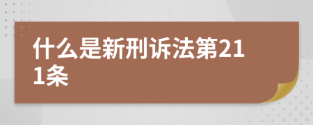 什么是新刑诉法第211条