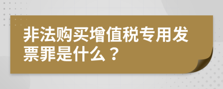 非法购买增值税专用发票罪是什么？