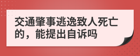 交通肇事逃逸致人死亡的，能提出自诉吗