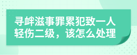 寻衅滋事罪累犯致一人轻伤二级，该怎么处理