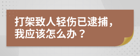 打架致人轻伤已逮捕，我应该怎么办？