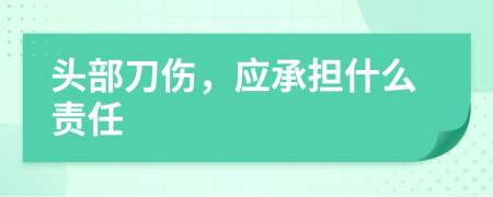 头部刀伤，应承担什么责任