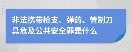 非法携带枪支、弹药、管制刀具危及公共安全罪是什么