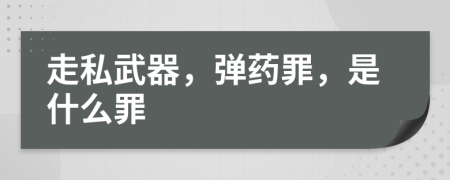 走私武器，弹药罪，是什么罪