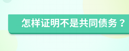 怎样证明不是共同债务？