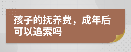 孩子的抚养费，成年后可以追索吗