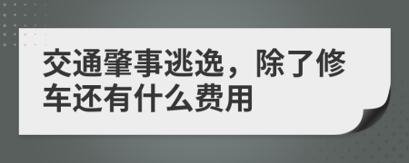 交通肇事逃逸，除了修车还有什么费用