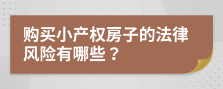 购买小产权房子的法律风险有哪些？