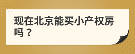 现在北京能买小产权房吗？