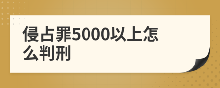 侵占罪5000以上怎么判刑