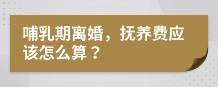 哺乳期离婚，抚养费应该怎么算？