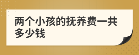 两个小孩的抚养费一共多少钱