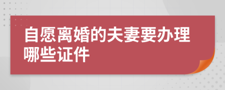 自愿离婚的夫妻要办理哪些证件