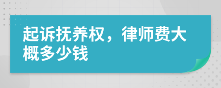 起诉抚养权，律师费大概多少钱