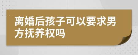 离婚后孩子可以要求男方抚养权吗