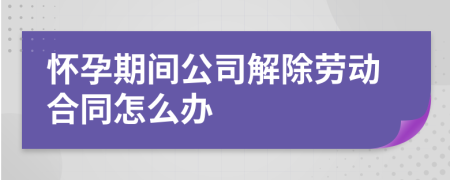 怀孕期间公司解除劳动合同怎么办