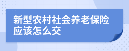 新型农村社会养老保险应该怎么交