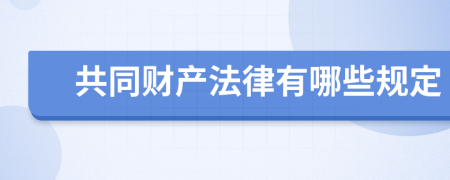 共同财产法律有哪些规定